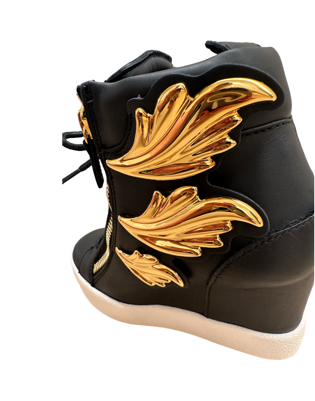 Giuseppe Zanotti